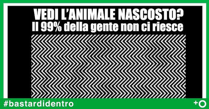 animale-nascosto